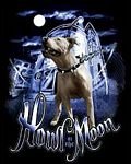 pic for Houl of Moon